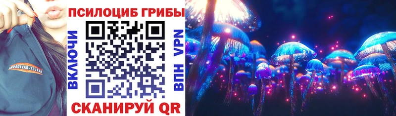 Псилоцибиновые грибы GOLDEN TEACHER  купить наркоту  Углегорск 