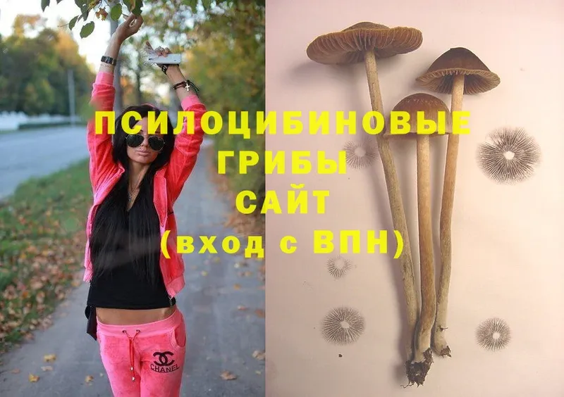 Псилоцибиновые грибы Magic Shrooms  наркошоп  Углегорск 